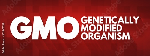 GMO - Genetically Modified Organism acronym, concept background