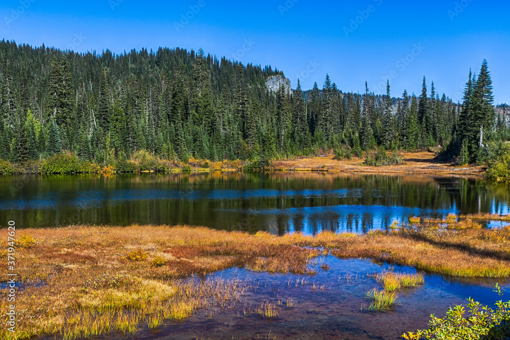 Beautiful autumn lake in sunny day. Green forest on the background. Location is Mt. Rainier National Park, Reflection Lake