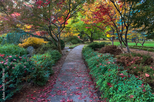 Japanese garden bright autumn colors. Lithia park, Ashland, Oregon
 photo