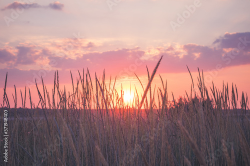 fiery sunset in a field with grass in the foreground in retro style