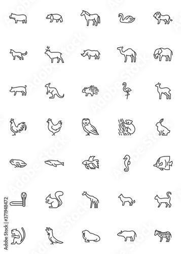 Wildlife animals line icons set. Zoo animal linear style symbols collection, outline signs pack. vector graphics. Set includes icons as Hippopotamus, Bear, Horse, Swan bird, Lion predator, Wolf, Deer