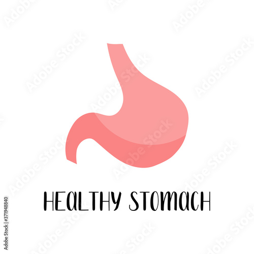 Healthy stomach. Gastroenterology. Vector flat illustration. Perfect for flyer, medical brochure, banner, landing page, website