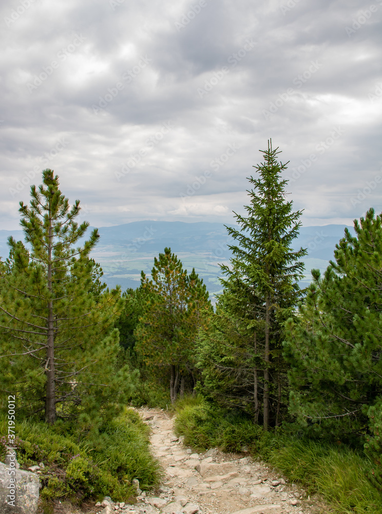 Beautiful tourist path with evergreen trees in Tatra mountain, Slovakia, cloudy sky Beautiful tourist path with evergreen trees in Tatra mountain, Slovakia, cloudy sky