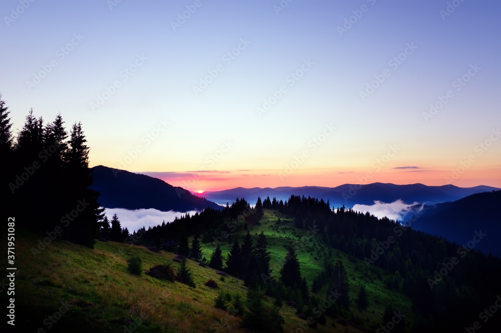 Dawn view in the mountains. Fog among the mountains, a green coniferous forest on the slopes and the sun rising from behind the mountains.