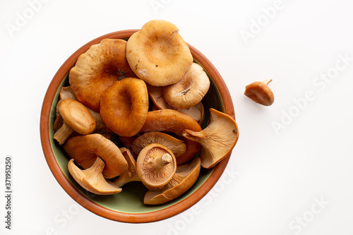 Raw mushroom in plate, cantharellus cibarius, isolated on white background. Top view, space for text right.