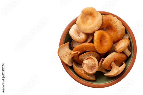 Raw mushroom in plate, cantharellus cibarius, isolated on white background. Top view, space for text left