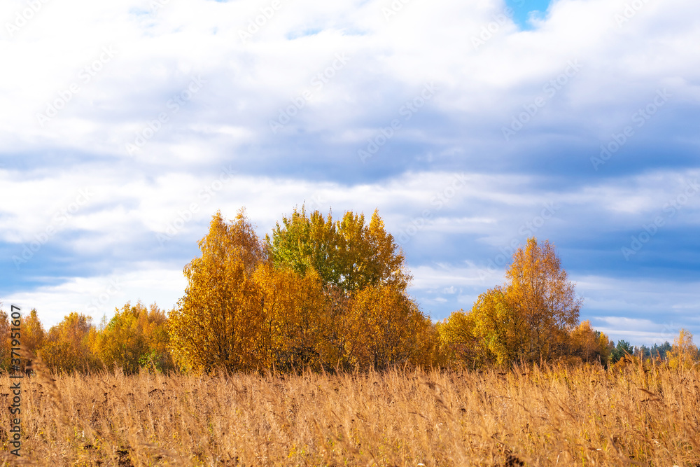 Prairie landscape with fall meadows and blue sky. Wild autumn field of tall grass.