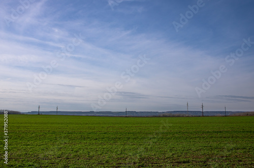 Agricultural field with electric towers, pylons in the background, nice sunny summer day, lots of green