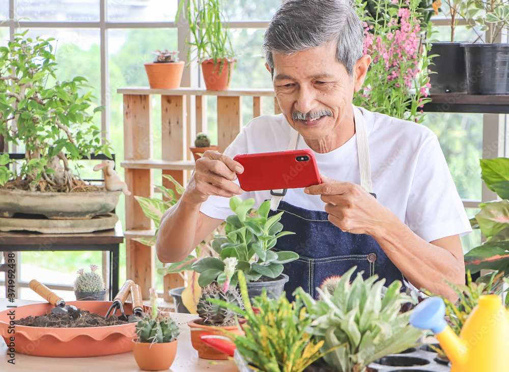 Active Asian elderly male gardener sitting in plant shop indoor,wearing bib taking photo of his plant by mobile phone and smiling happily. Active Asian elderly male gardener sitting in plant shop indoor,wearing bib taking photo of his plant by mobile phone and smiling happily.