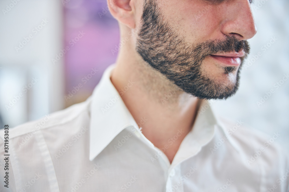 Obraz premium Close up of handsome man demonstrating his beard