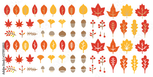 Autumn Leaf Vector Set