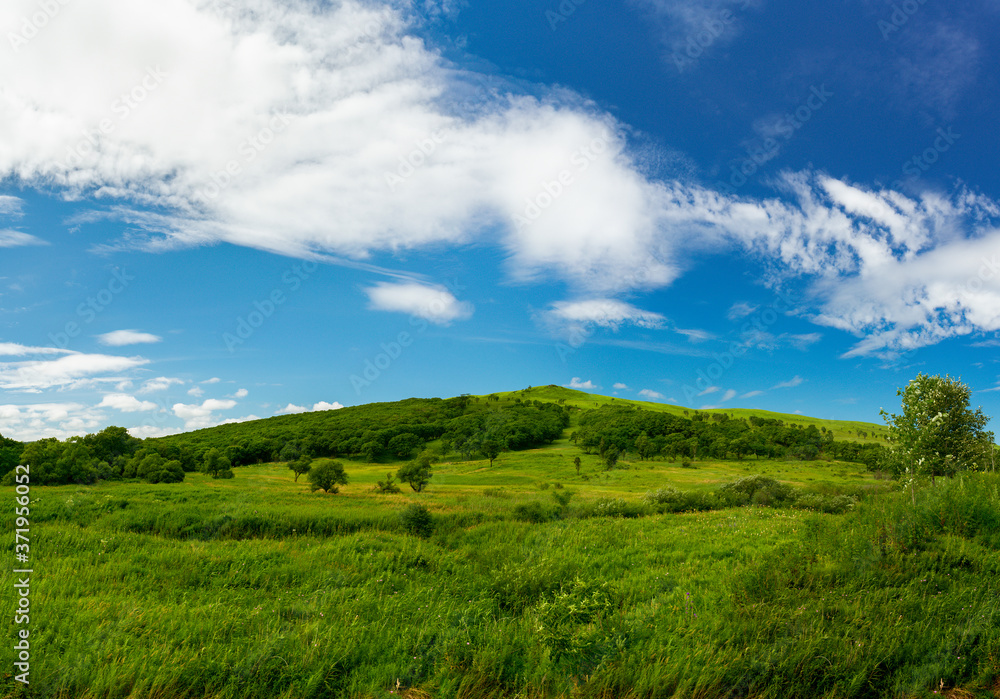 Green hills with trees and blue sky with clouds