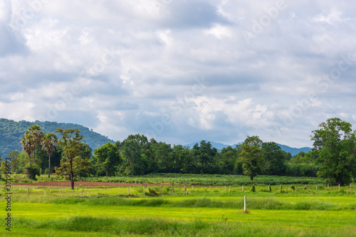 Green meadow and trees with mountain ranges and cloudy sky. Beautiful landscape in Thailand.
