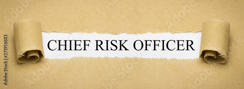 Chief Risk Officer