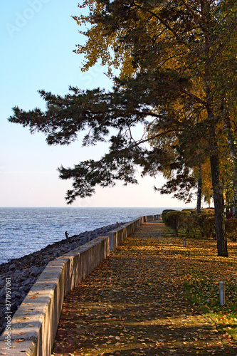 Narrow walkway along the river in autumn park. Fallen orange leaves on the pathway. Picturesque golden color autumn in sunny day. Concept of landscape and nature landscape