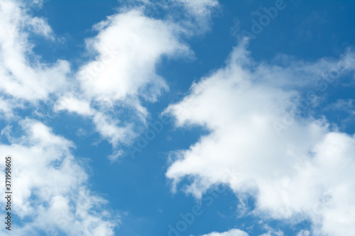 Soft focus blur  blue sky with cloud for background and other 