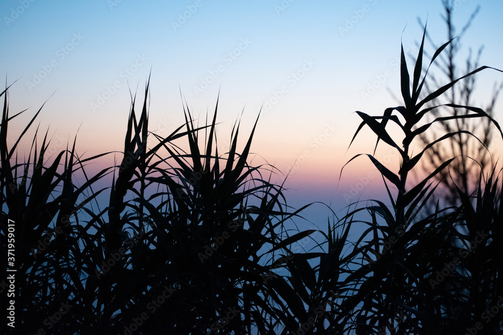 Fototapeta premium Sunset ocean horizon sky clouds sunset landscape