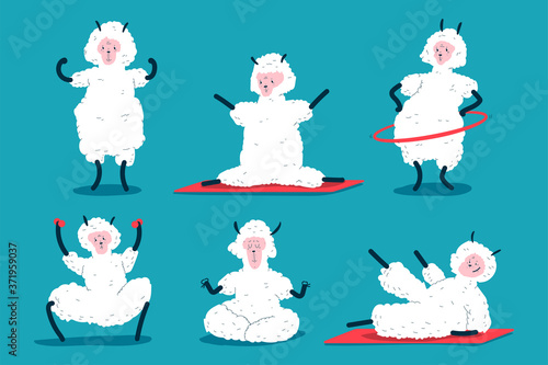 Funny llama doing fitness and yoga exercises vector cartoon characters set isolated on background.