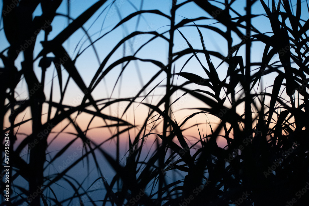 Sunset ocean horizon sky clouds sunset landscape Sunset ocean horizon sky clouds sunset landscape