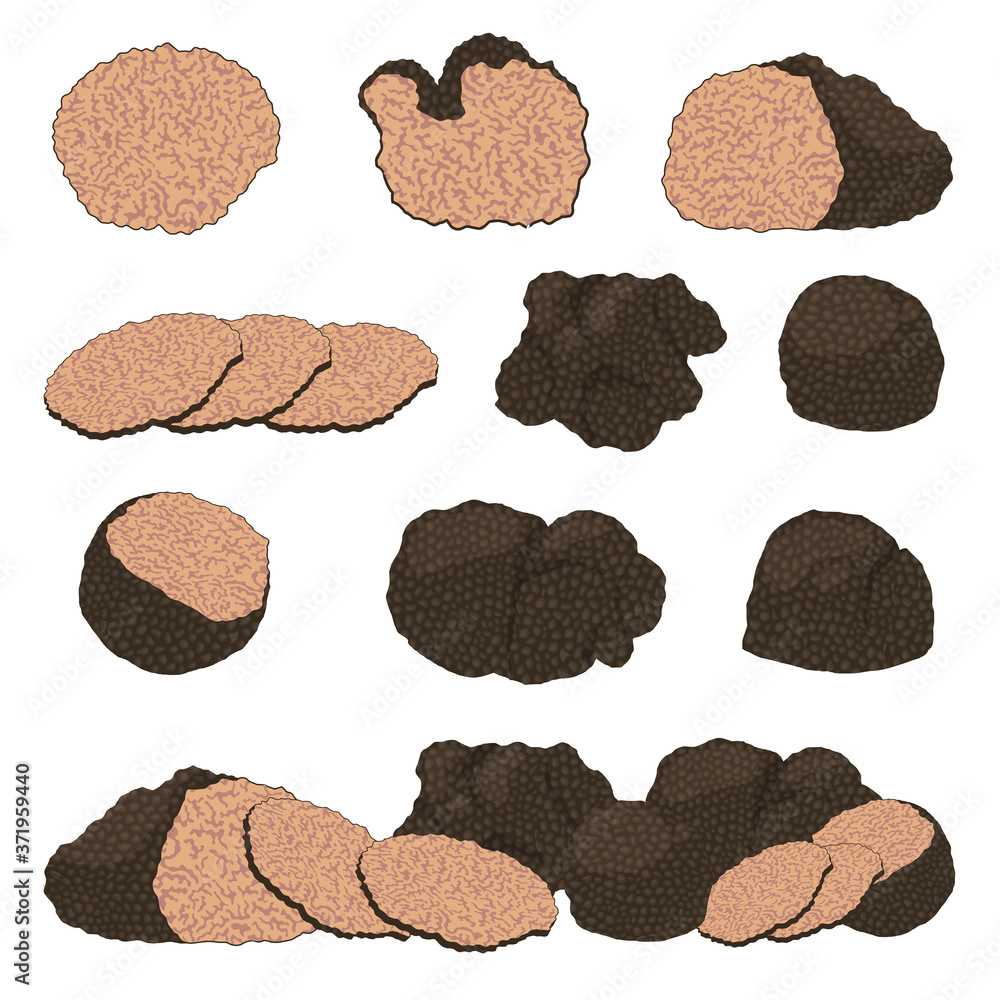 Cartoon Different Black Truffle Icon Set. Vector