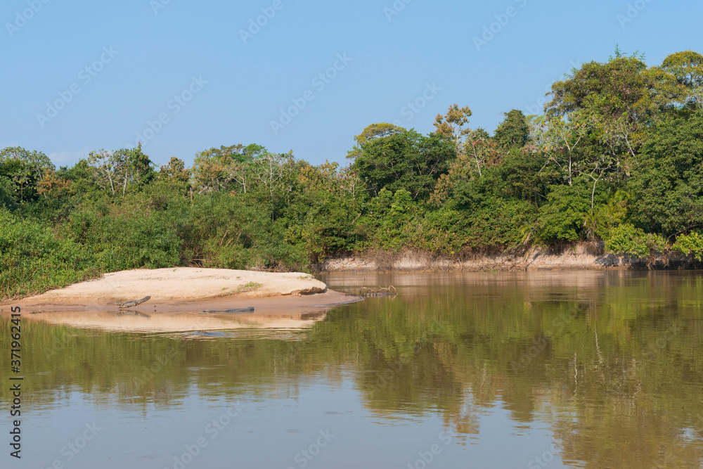 Cuiaba River, Pantanal, Mato Grosso State, Brazil