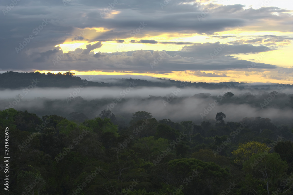 Fototapeta premium Fog over the Amazon forest, Cristalino State Park, Alta Floresta, Mato Grosso, Brazil.