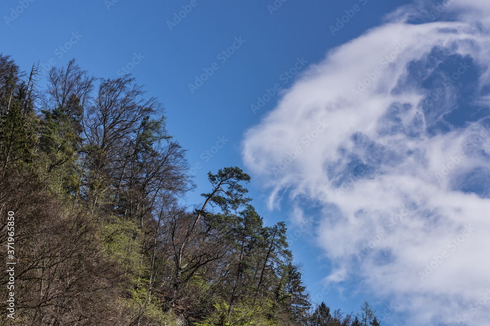Obraz premium clouds in the wind in a landscape