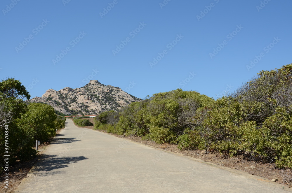 road at asinara island, sardinia, italy road at asinara island, sardinia, italy