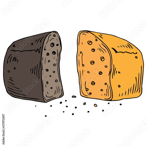 Loaf of bread cut in half. Bread with crumbs. Vector illustration of bread. Hand drawn bread.