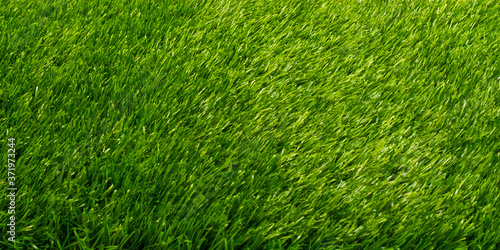 background artificial green grass texture