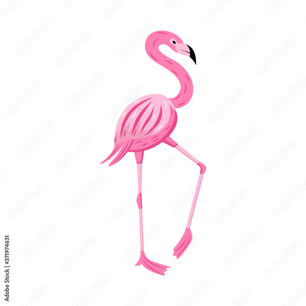 Obraz premium Pink flamingo character flat cartoon vector illustration isolated on white.