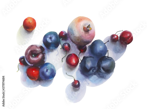 Watercolor painting. Still life with fruit and berries on a white background.