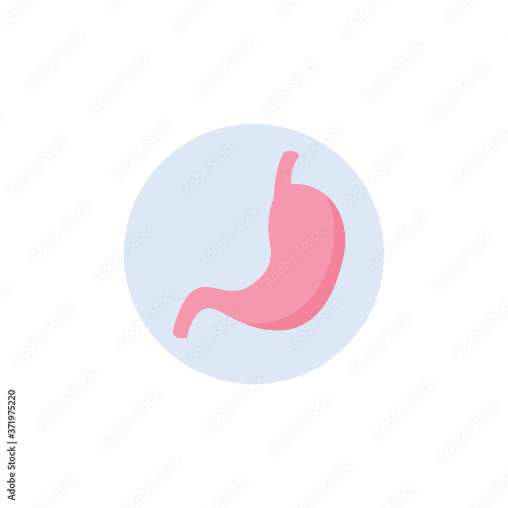 Human abdomen organ icon a stomach in circle, flat vector illustration isolated. Human abdomen organ icon a stomach in circle, flat vector illustration isolated.