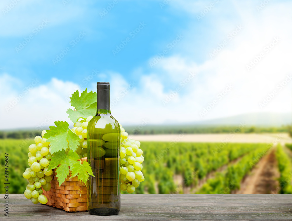 Fototapeta premium Grapes and wine in front of landscape of vineyard