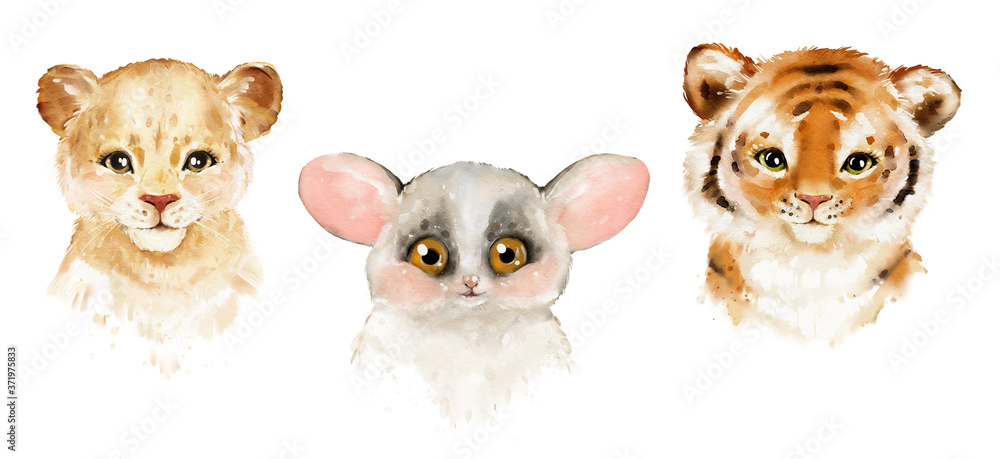 Obraz premium .Watercolor illustration tropical animal portraits. Exotic kids summer print for party. Cute poster with lion, lemur, tiger