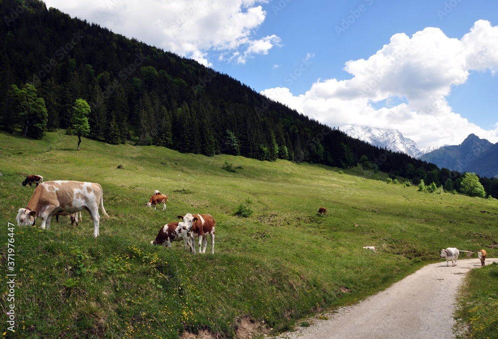Unterwegs zur Modaualm im Berchtesgadener Land
