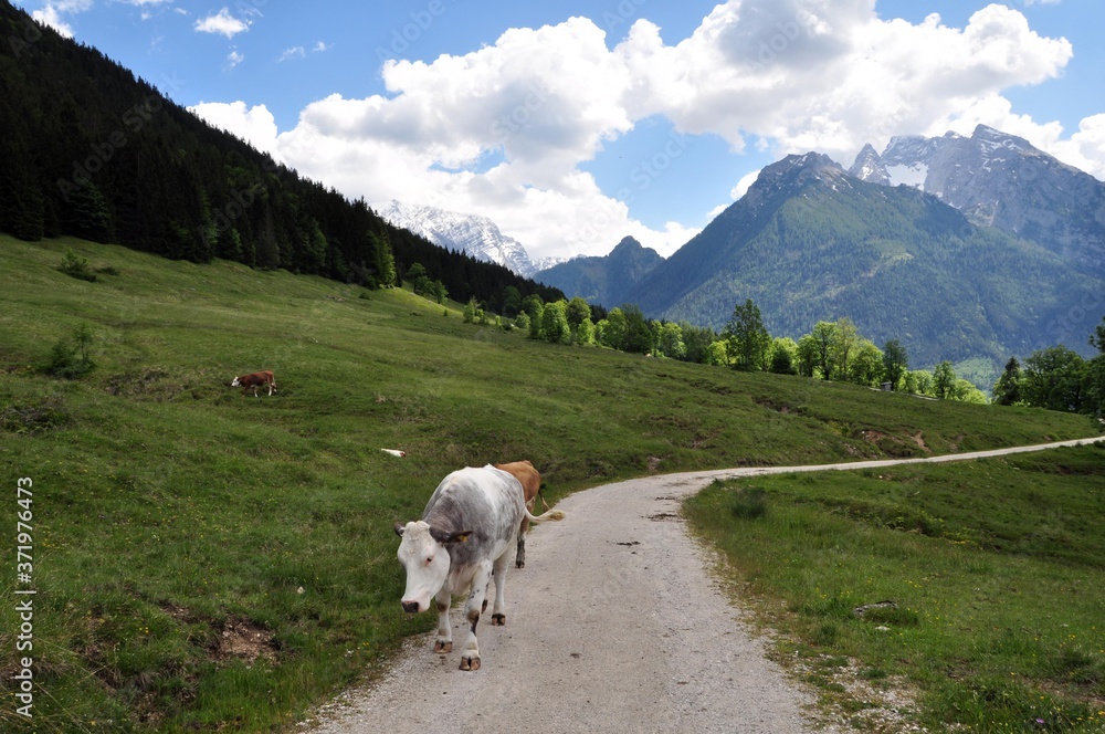 Unterwegs zur Modaualm im Berchtesgadener Land