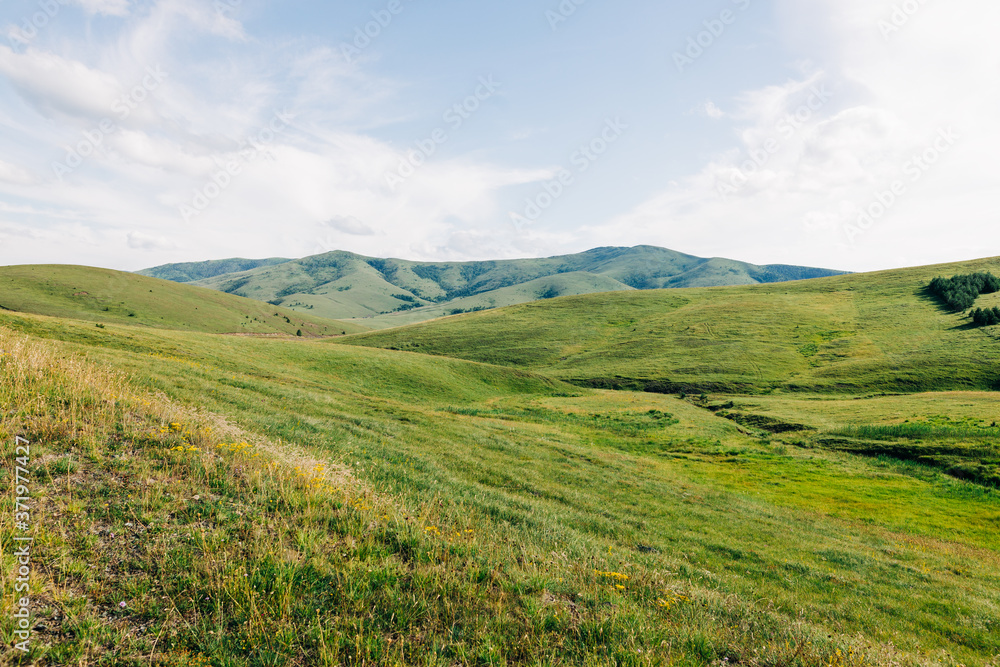 Fototapeta premium Beautiful hillside landscape in the mountains