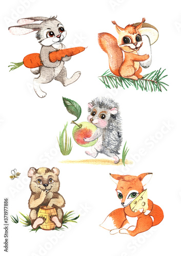 Fototapeta Naklejka Na Ścianę i Meble -  watercolor drawing of animals: hare, squirrel, bear, hedgehog, fox