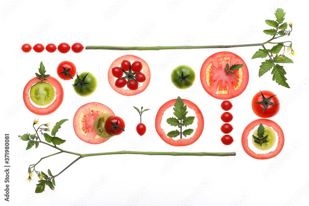 Fototapeta Fresh tomatoes on a white background. Knolling concept.