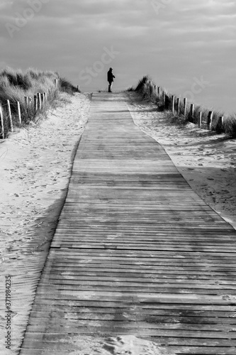 Dutch coast below sea level with sand and water photo