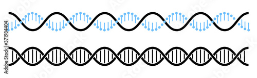 DNA helix line icon, DNA symbol in flat style vector illustration
