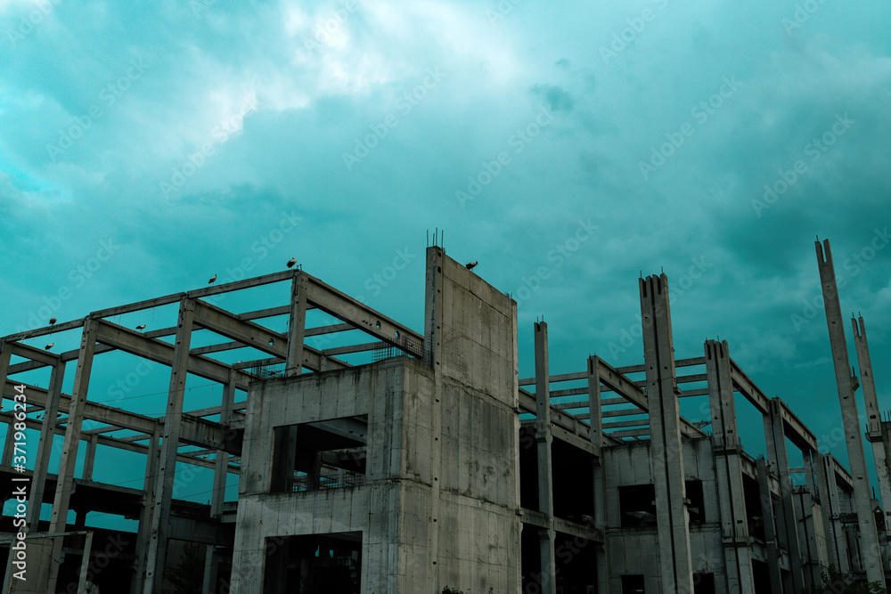 Storks on unfinished concrete building Storks on unfinished concrete building