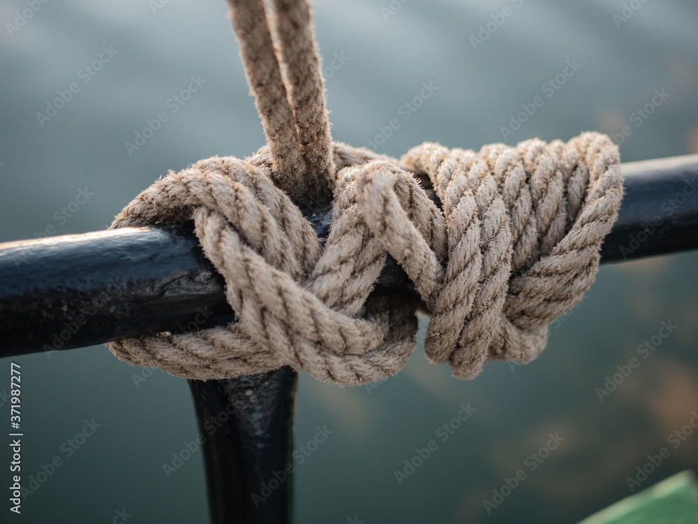 Fototapeta premium Knots