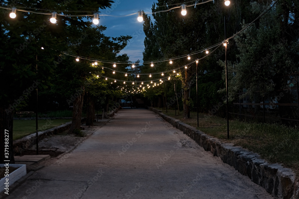 Hanging light bulbs on the night alley