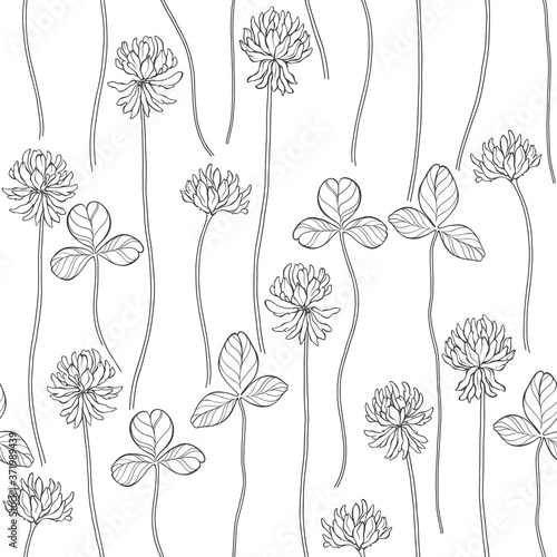 Clover. Seamless pattern on white. Vector. Art floral background. Line art. Black and white.