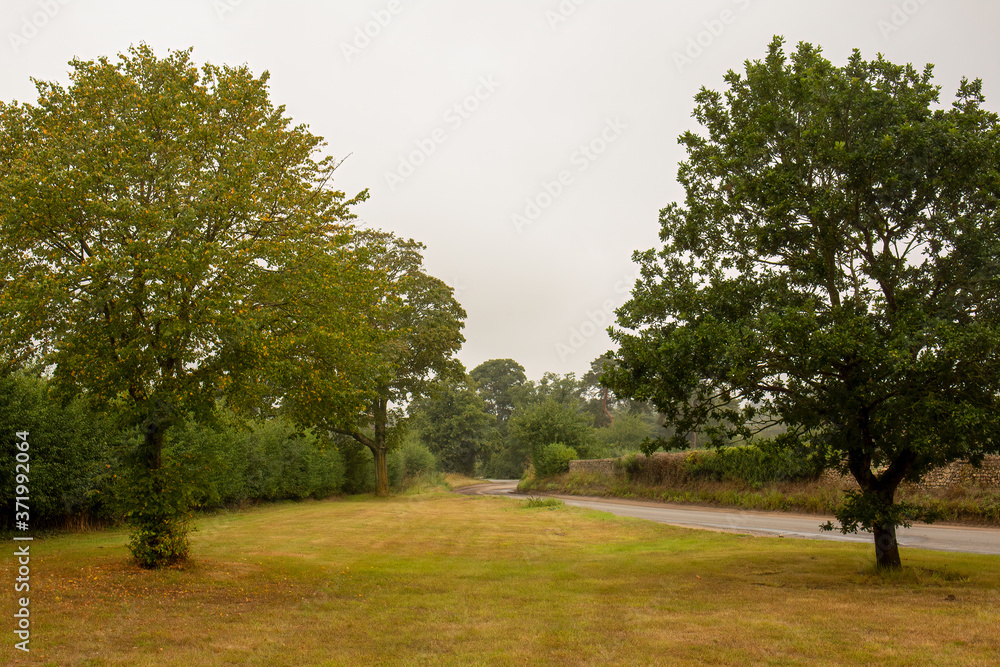 View of bend on country English lane with no people and no traffic.