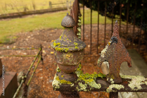 Selective focus on old wrought iron railings in English churchyard © Martin and Dawn Q