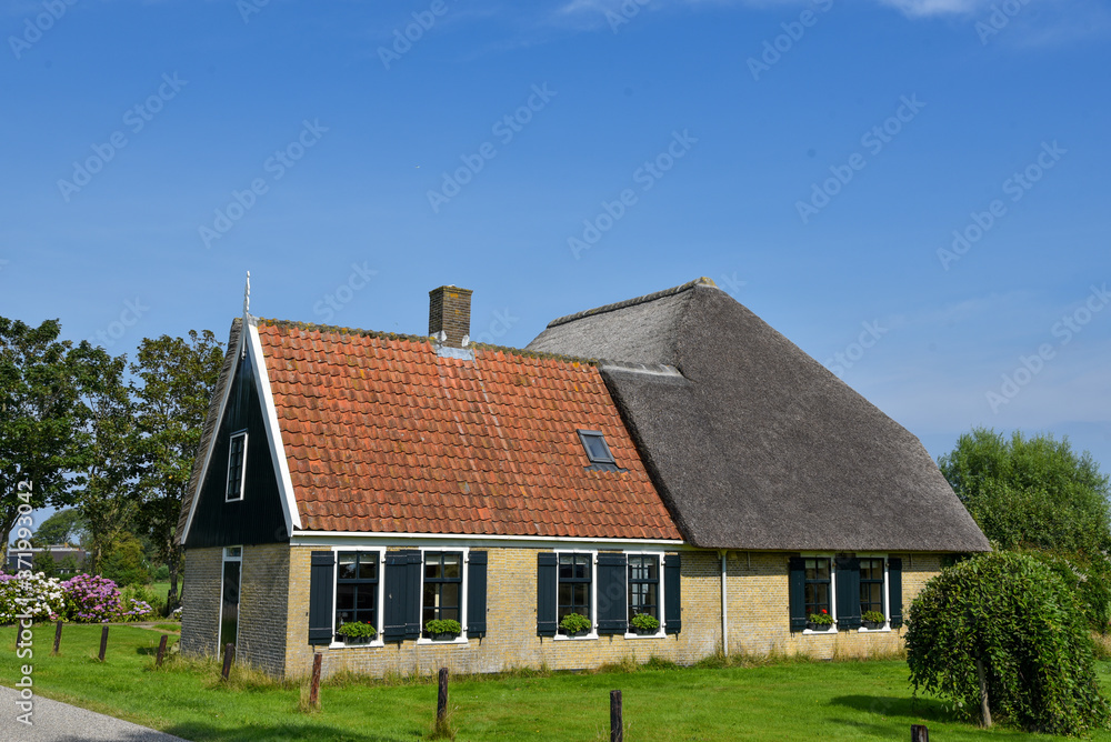 Dutch farmhouse with semi thatched roof