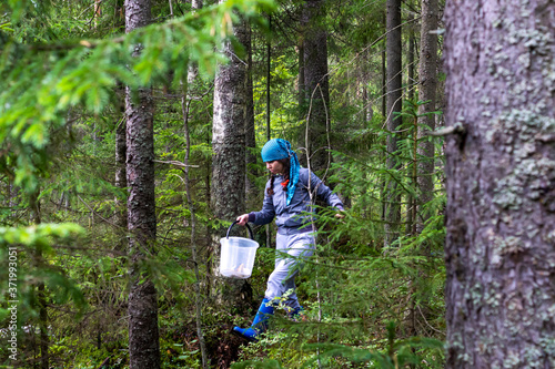 Girl mushroom picker walks through wild forest in search of edible mushrooms
